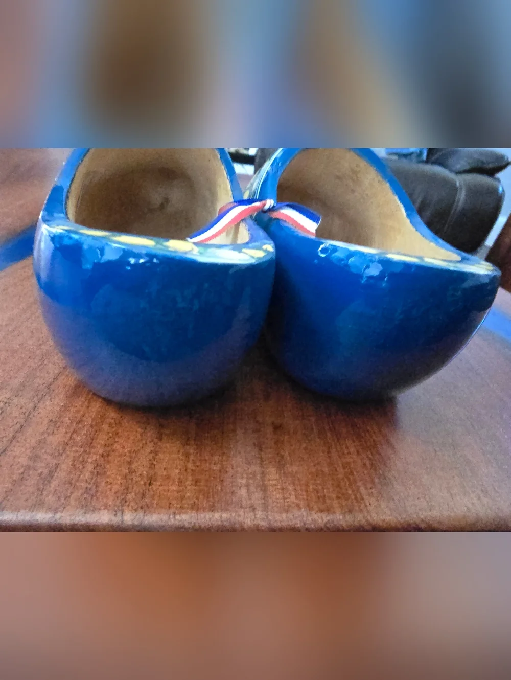Holland Blue Kids Wooden Moccasin Clogs with Tulip & Windmill Art